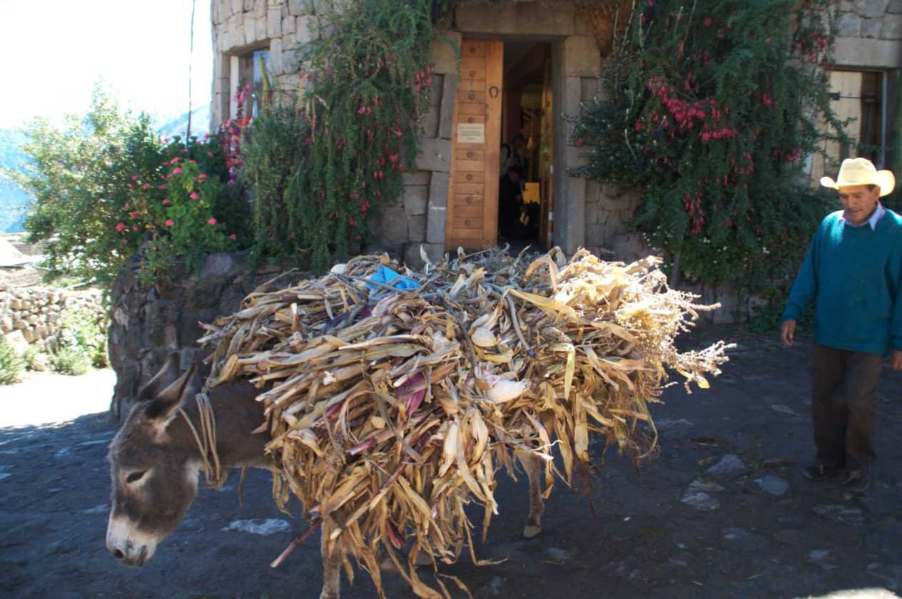 110 110511 Colca Canyon