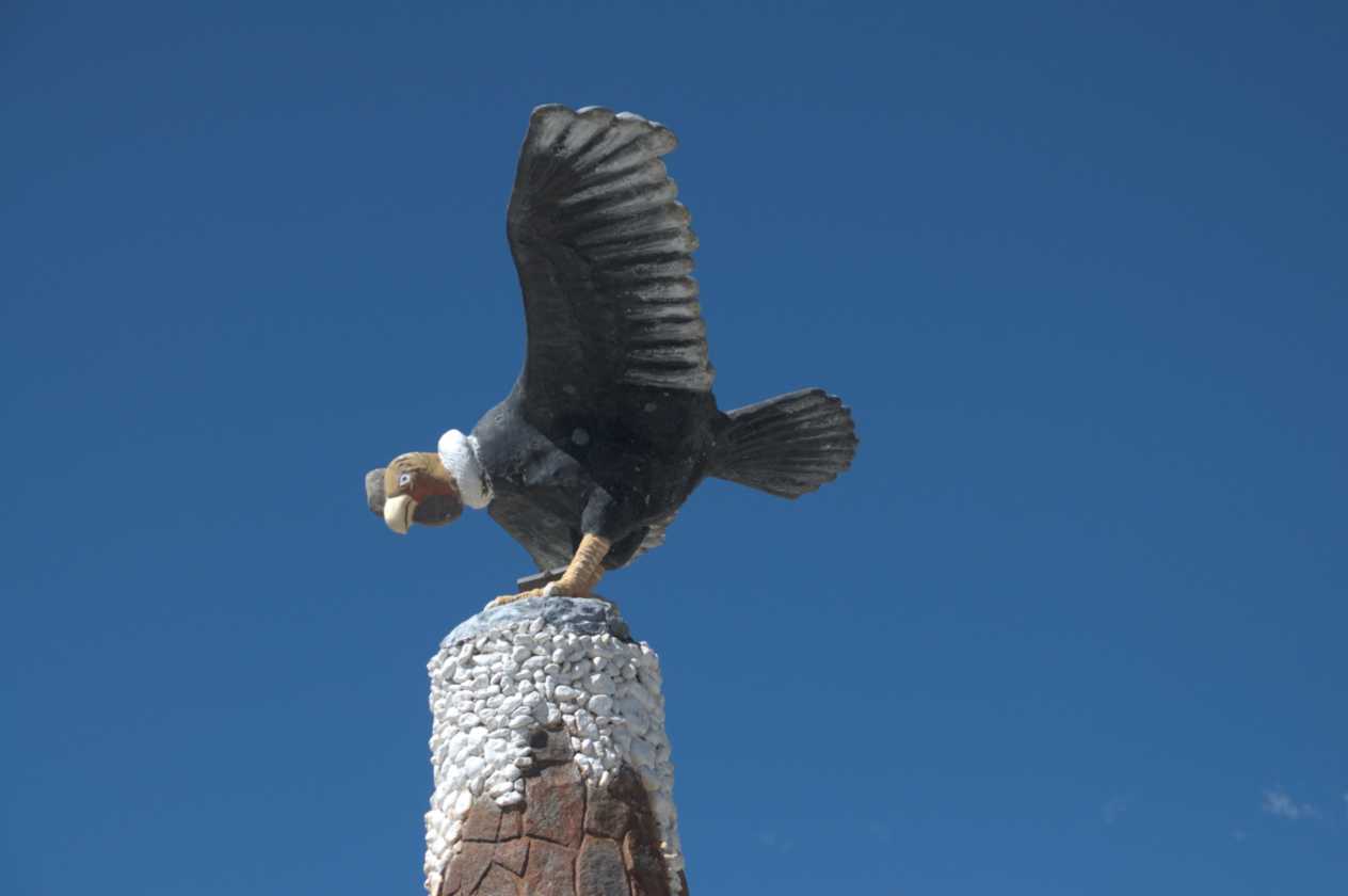 112 110511 Colca Canyon