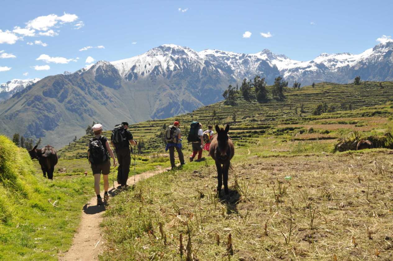 116 110511 Colca Canyon