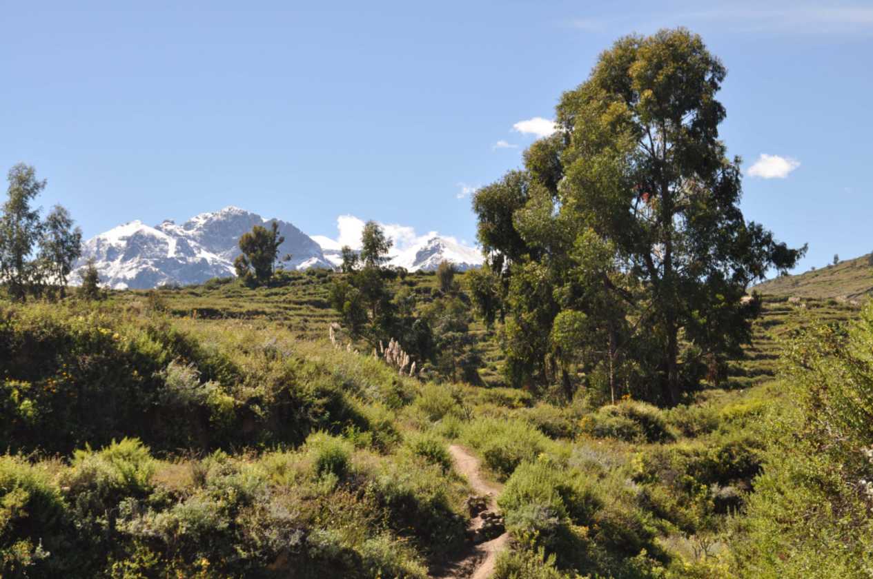 118 110511 Colca Canyon