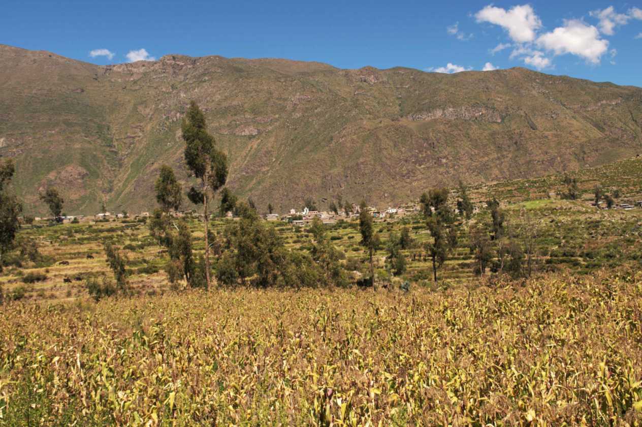 122 110511 Colca Canyon
