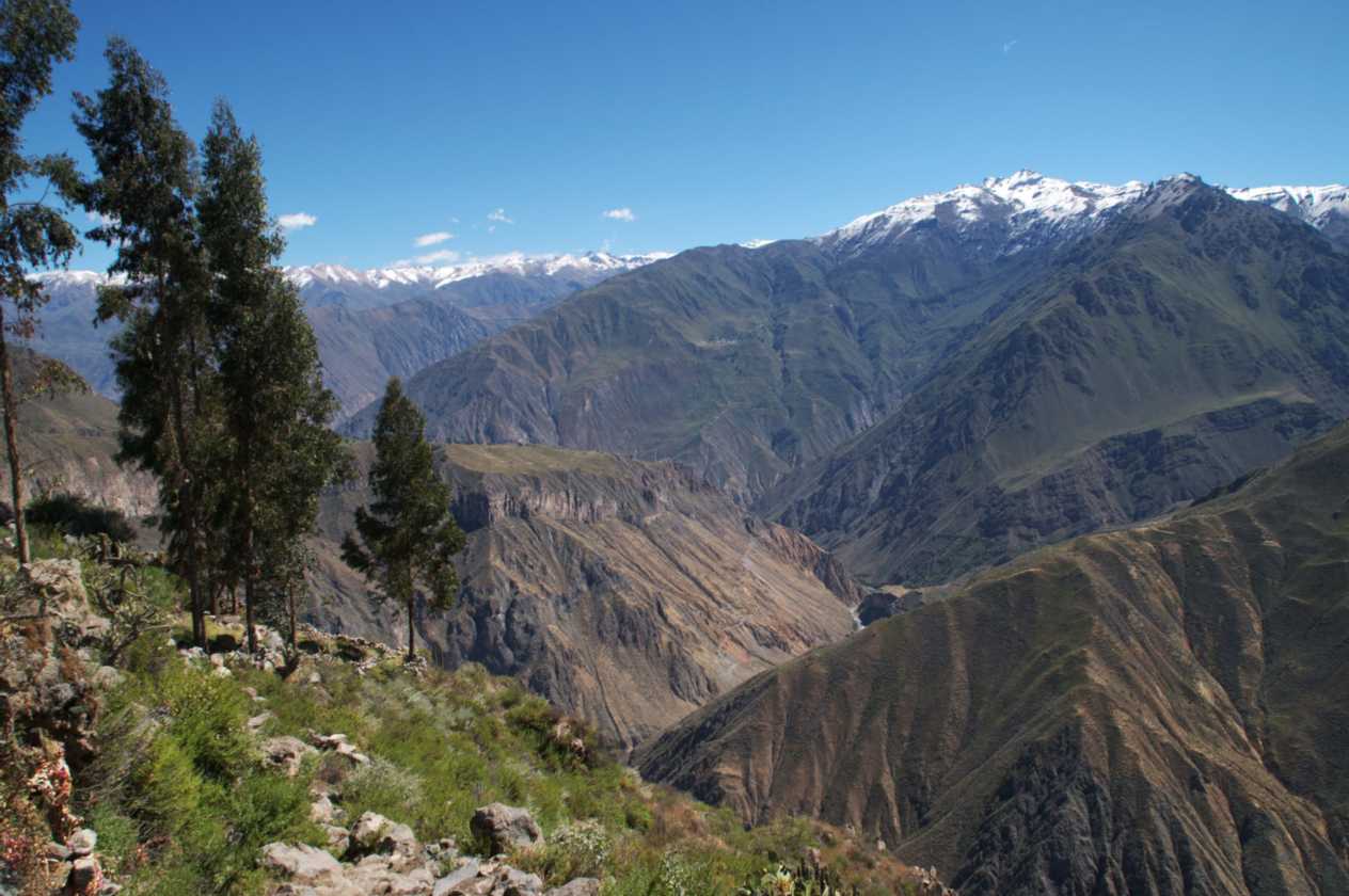 124 110511 Colca Canyon