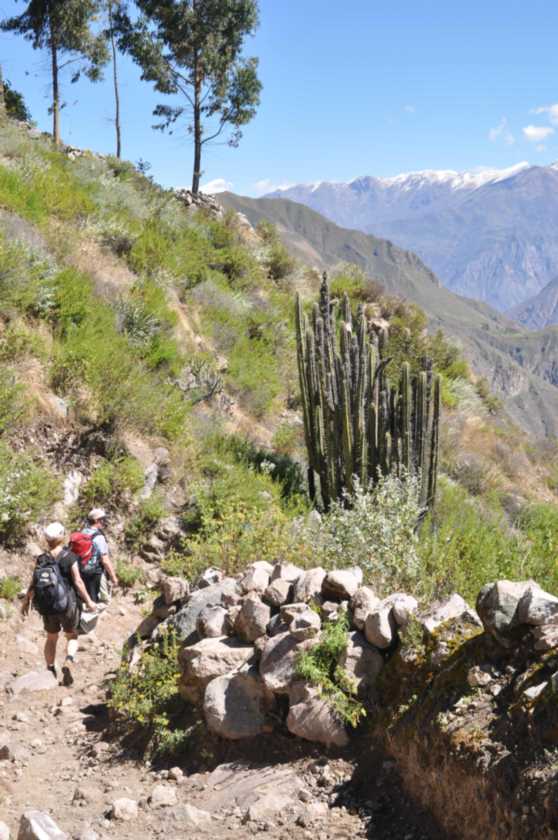 127 110511 Colca Canyon