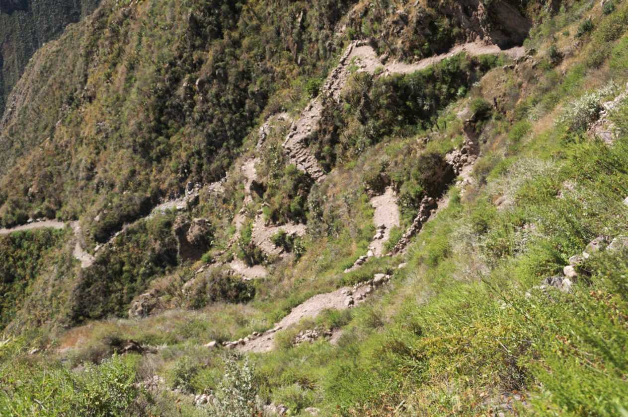 129 110511 Colca Canyon