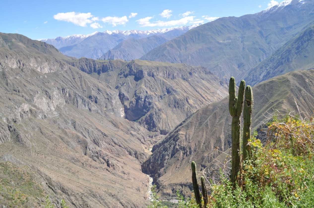 138 110511 Colca Canyon
