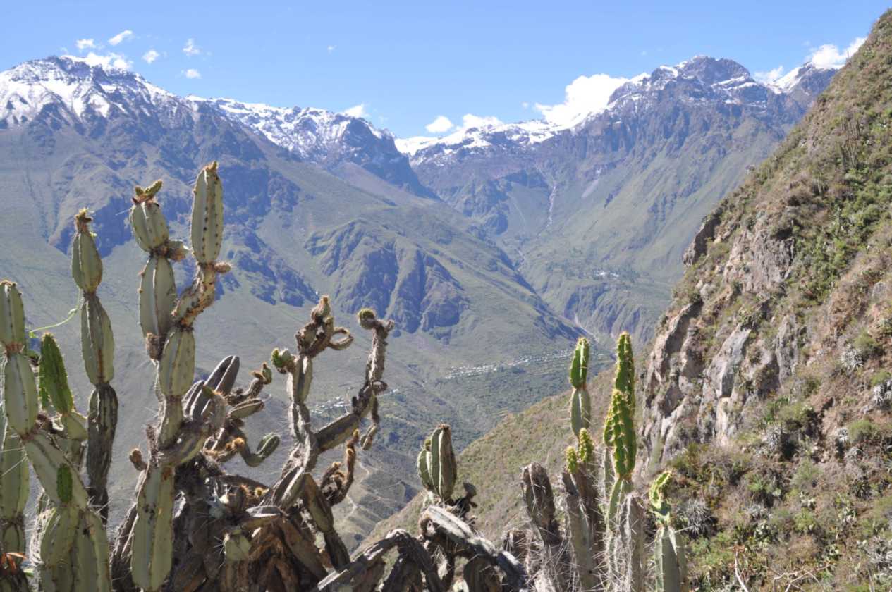 140 110511 Colca Canyon