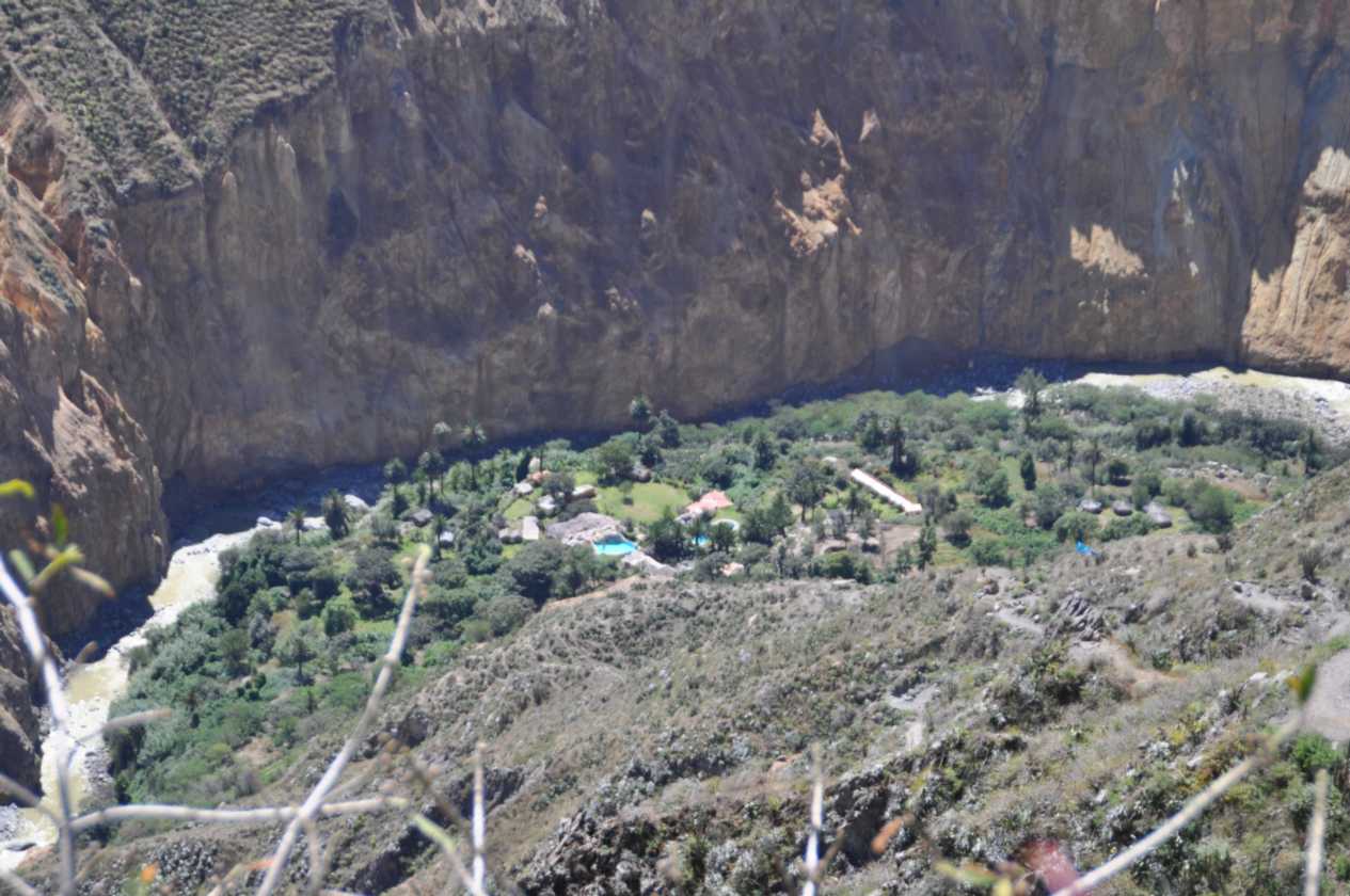 141 110511 Colca Canyon
