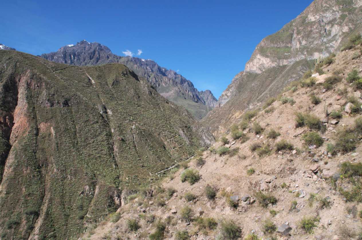 150 110511 Colca Canyon