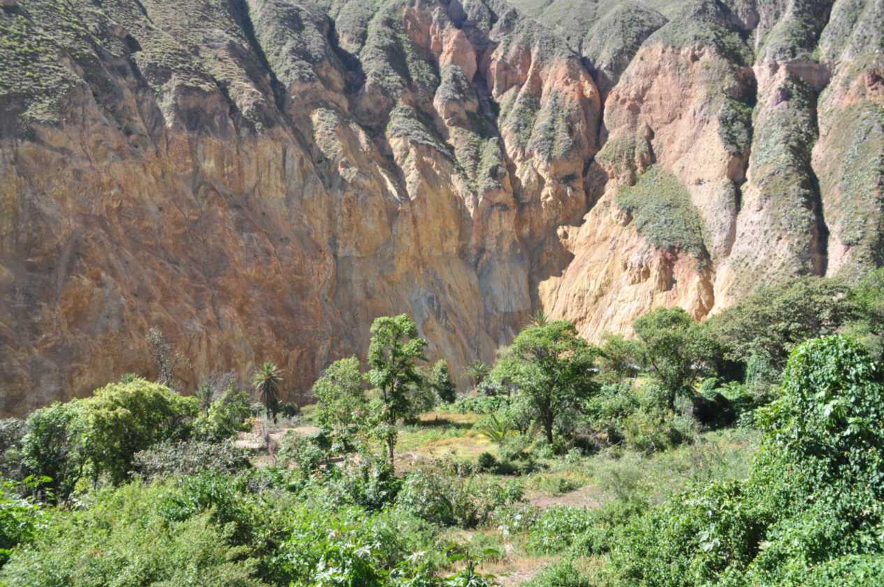 151 110511 Colca Canyon