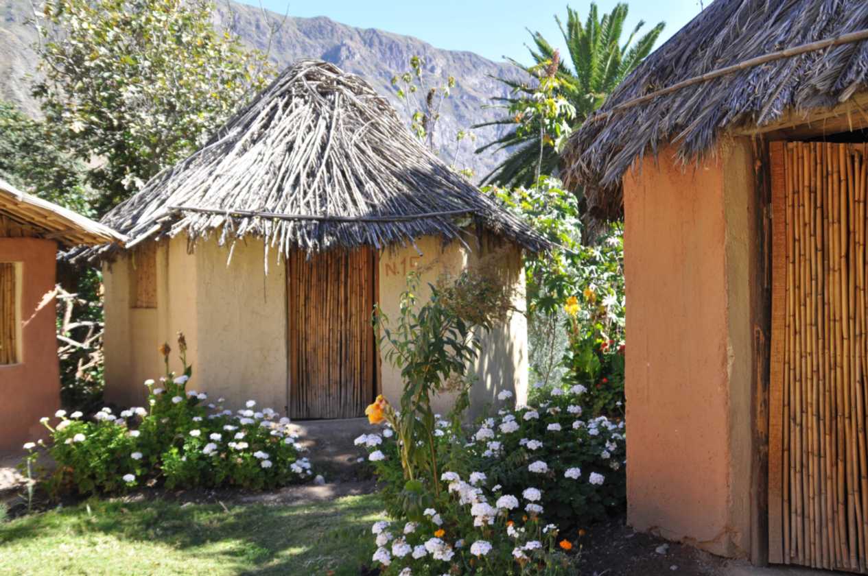 155 110511 Colca Canyon