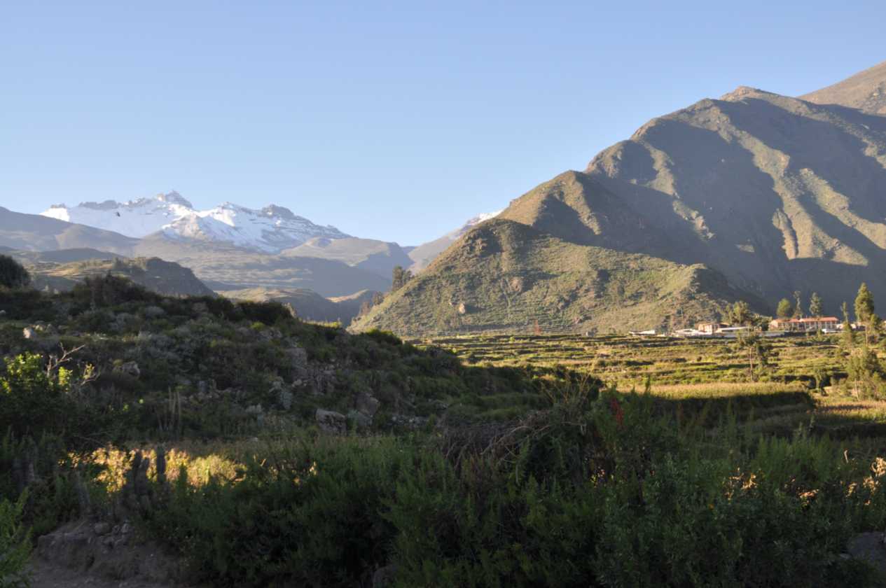 006 110512 Colca-Puno