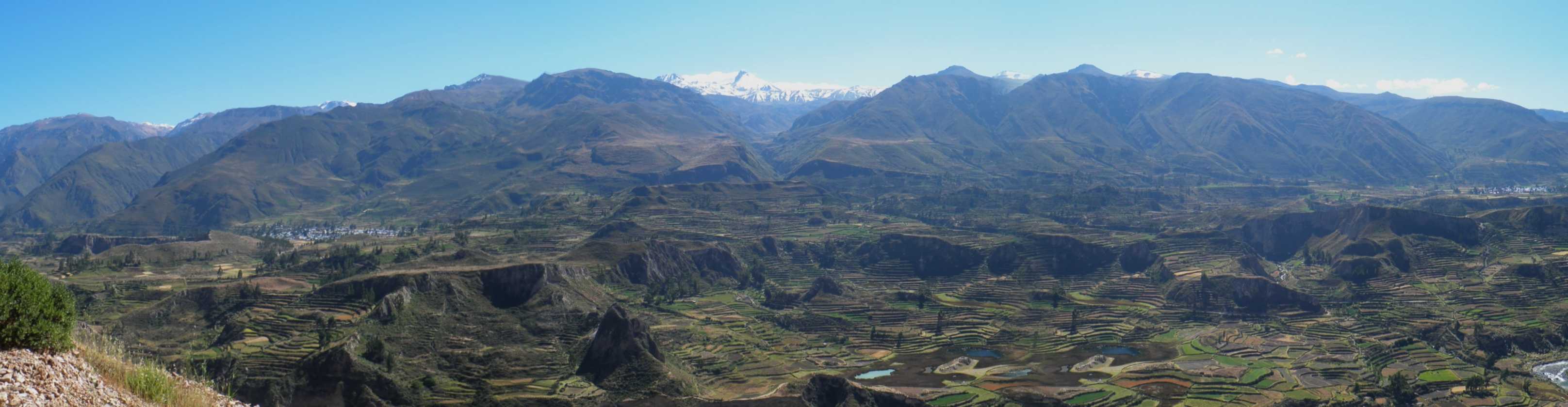 010 110512 Colca-Puno