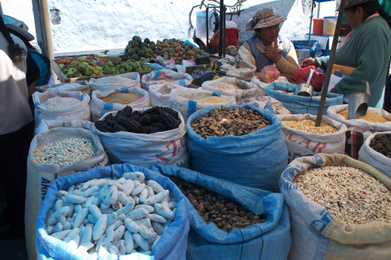 016 110512 Colca-Puno