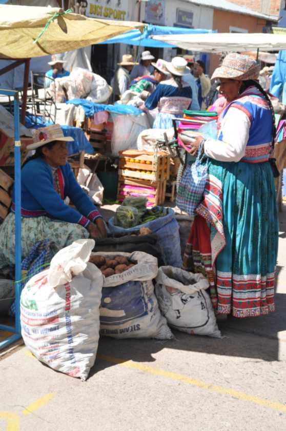 020 110512 Colca-Puno