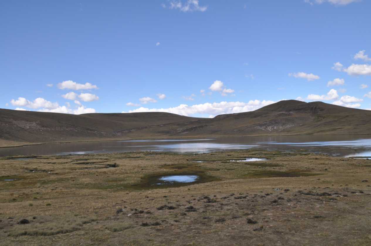 055 110512 Colca-Puno