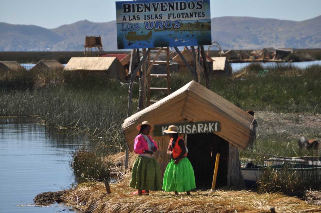 026 110513 Puno