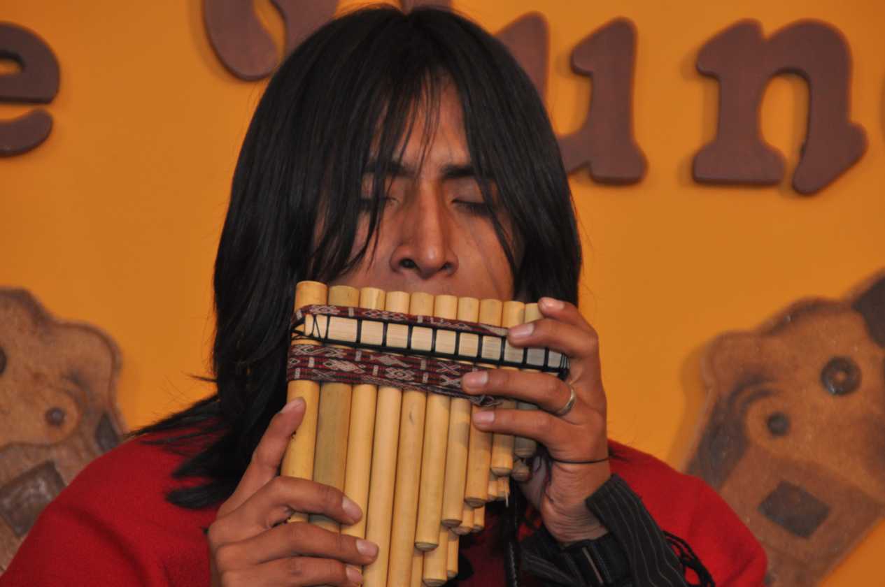 126 110513 Puno