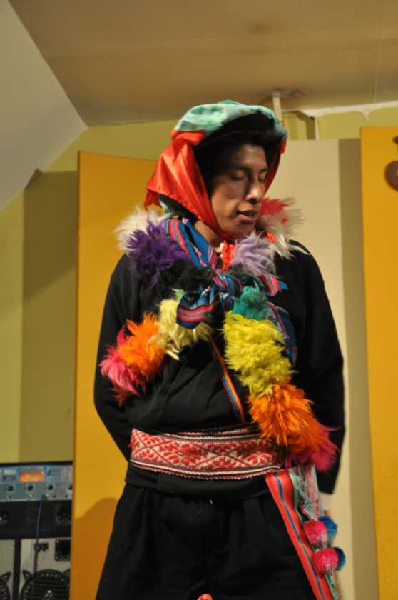 134 110513 Puno