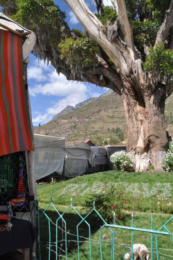012 110516 Cuzco-Ollantaytambo