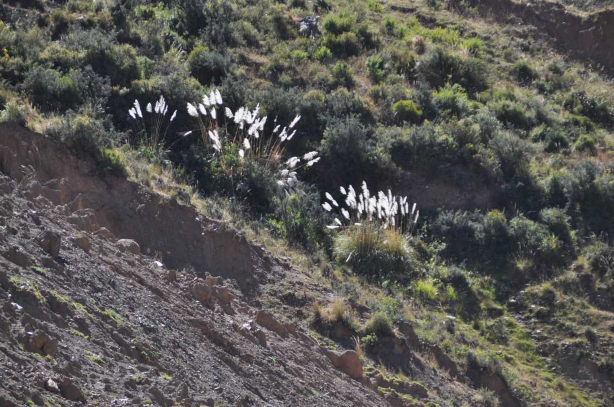 043 110516 Cuzco-Ollantaytambo