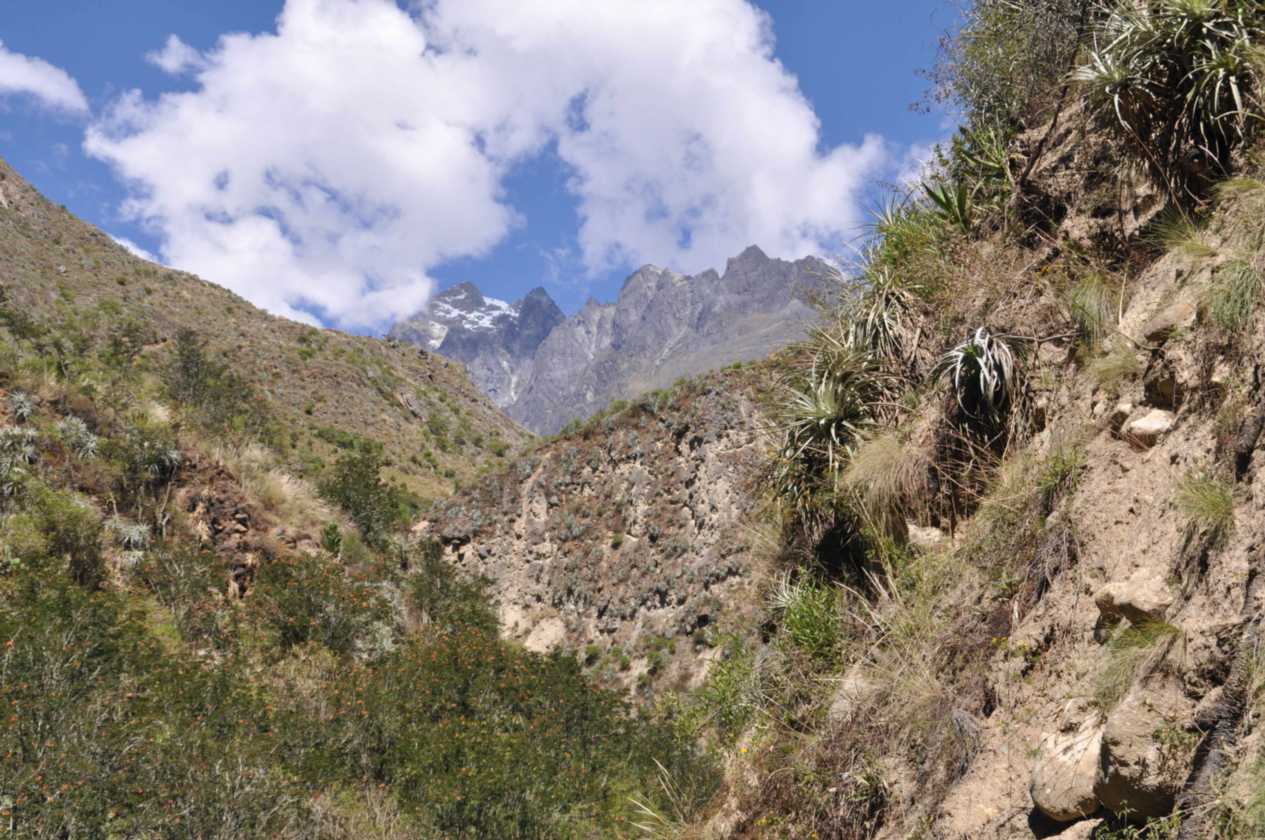 030 110517 Inca Trail 1