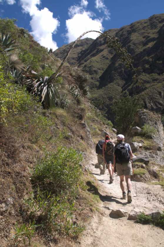 036 110517 Inca Trail 1