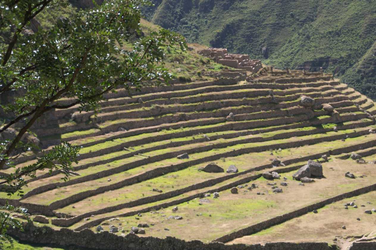 037 110517 Inca Trail 1