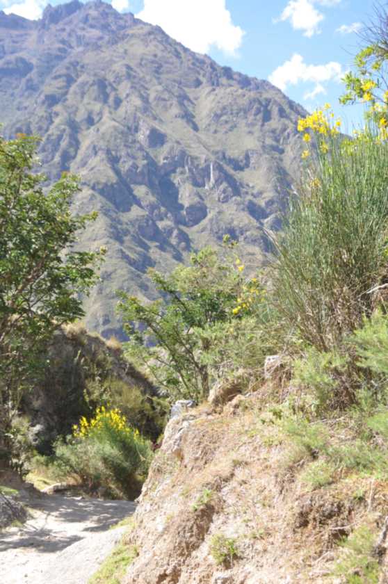 038 110517 Inca Trail 1