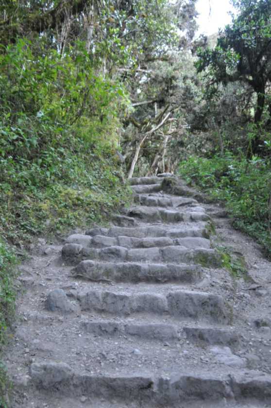 006 110518 Inca Trail 2