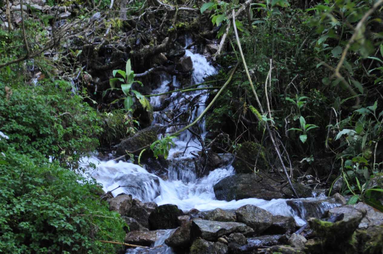 008 110518 Inca Trail 2
