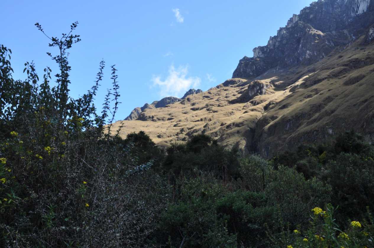 011 110518 Inca Trail 2