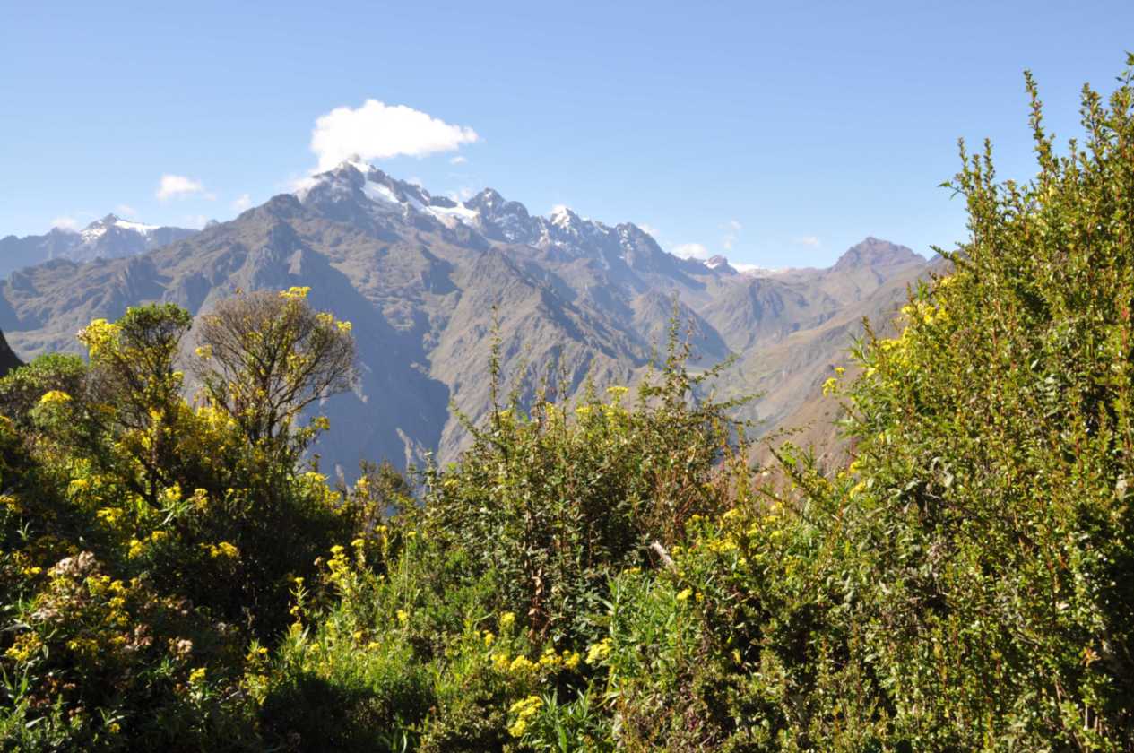 015 110518 Inca Trail 2