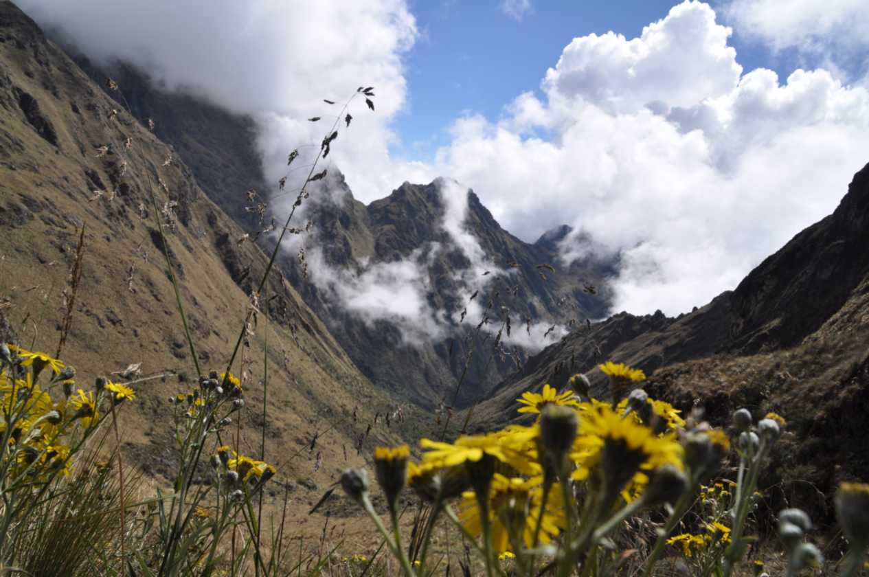 037 110518 Inca Trail 2
