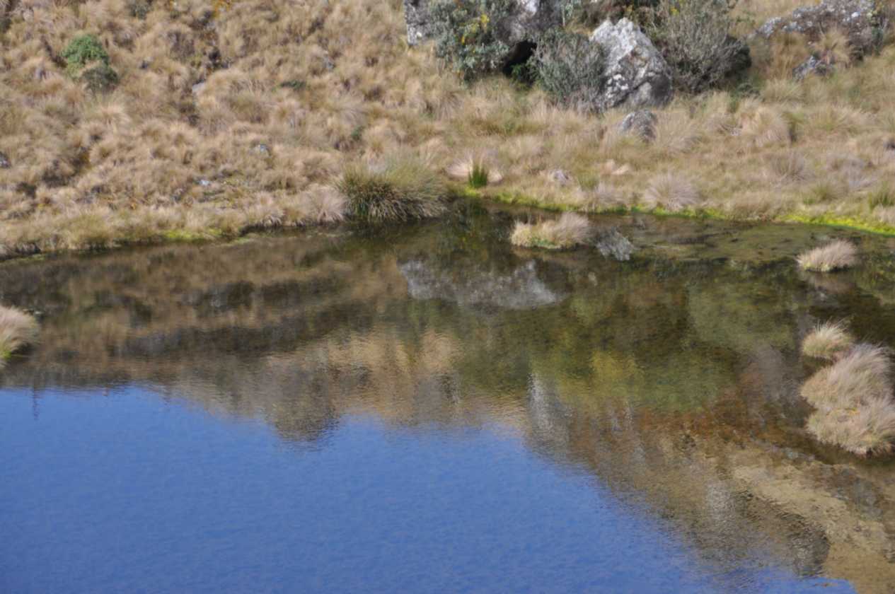021 110519 Inca Trail 3