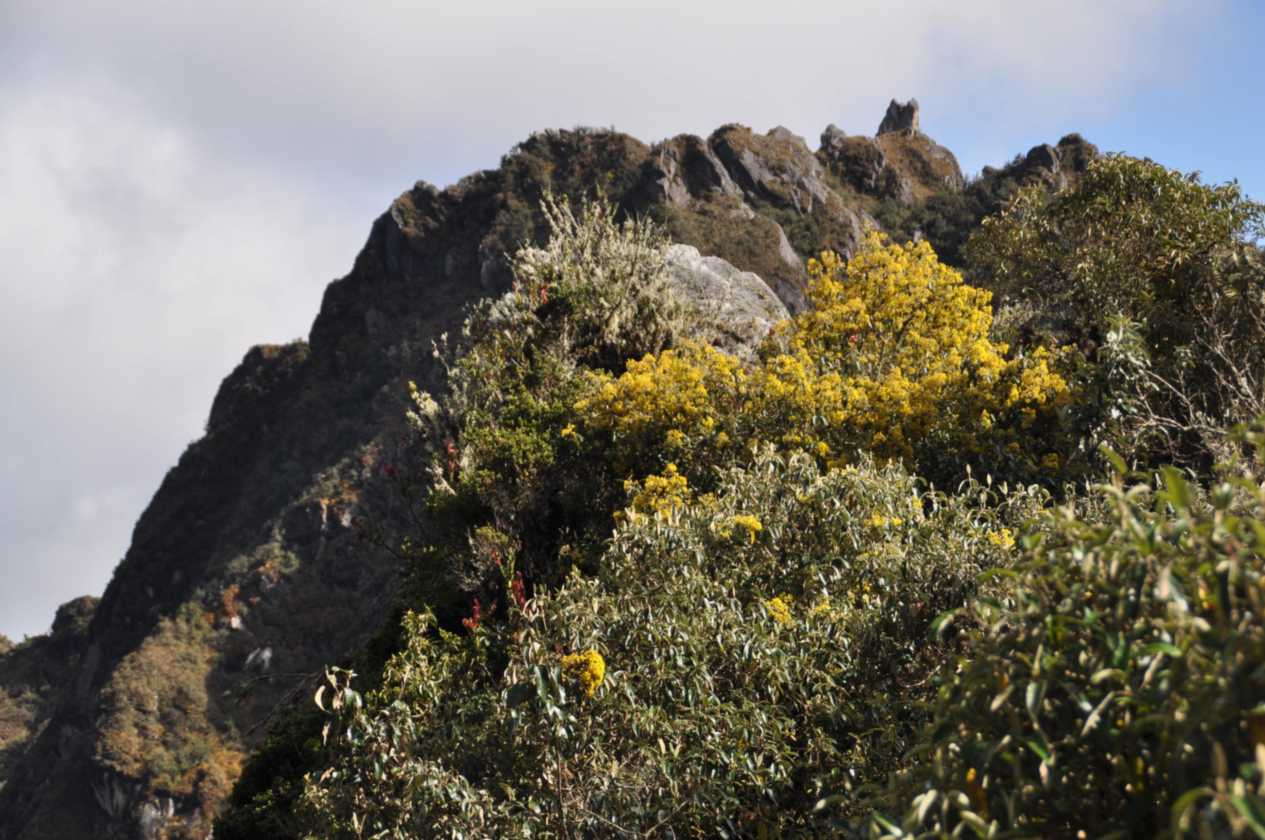 024 110519 Inca Trail 3