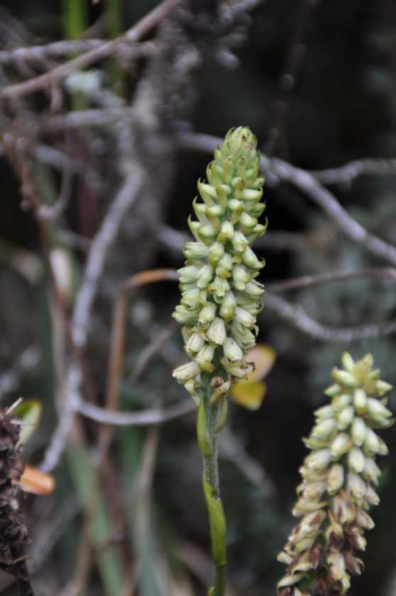 048 110519 Inca Trail 3