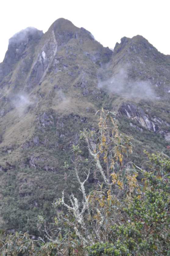 051 110519 Inca Trail 3
