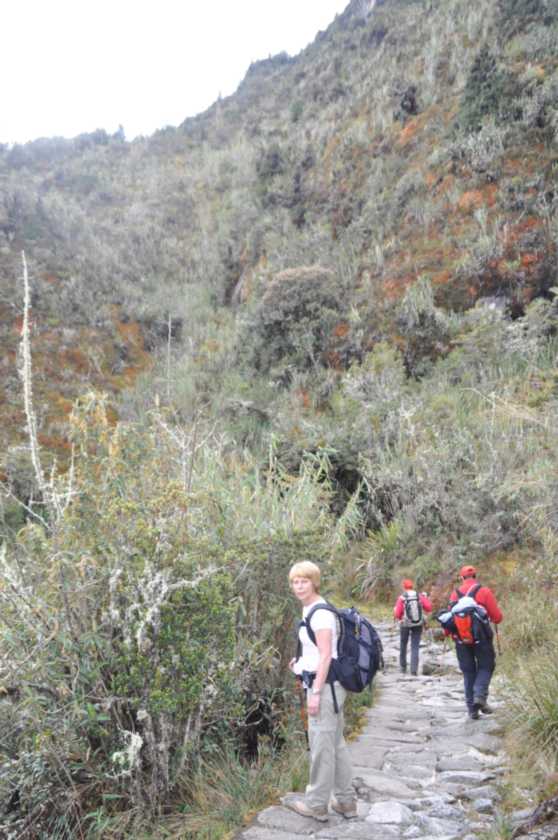 054 110519 Inca Trail 3