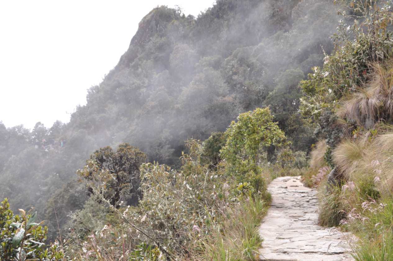 059 110519 Inca Trail 3
