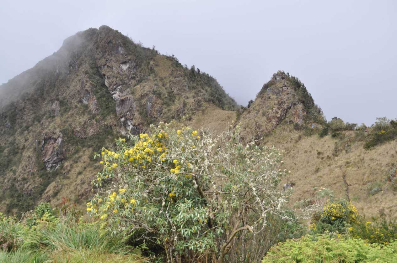 068 110519 Inca Trail 3