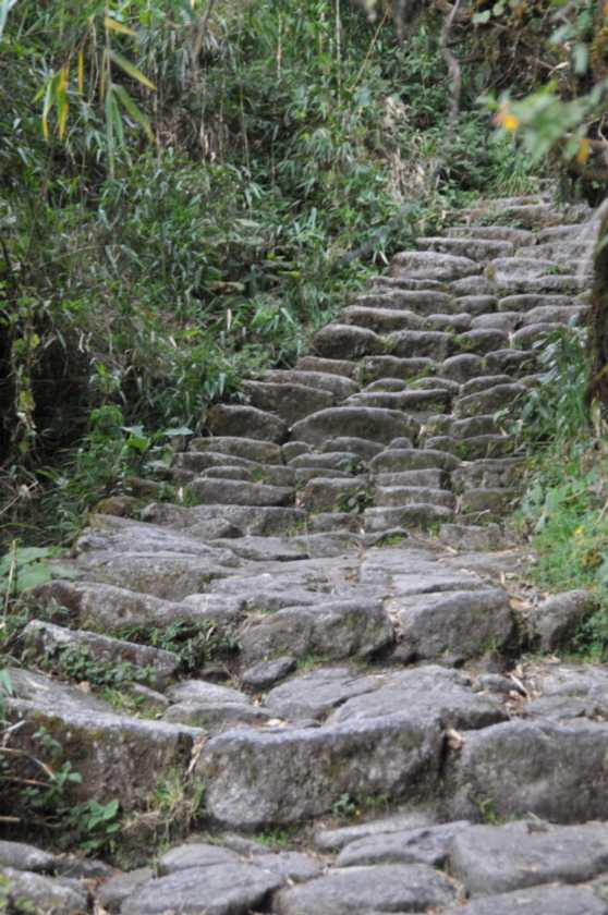 077 110519 Inca Trail 3
