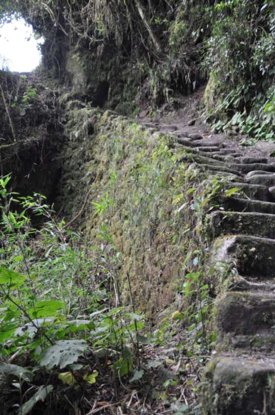 082 110519 Inca Trail 3