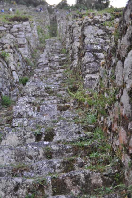 096 110519 Inca Trail 3