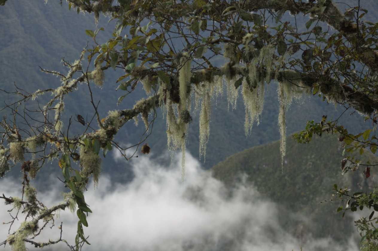 007 110520 Inca Trail 4