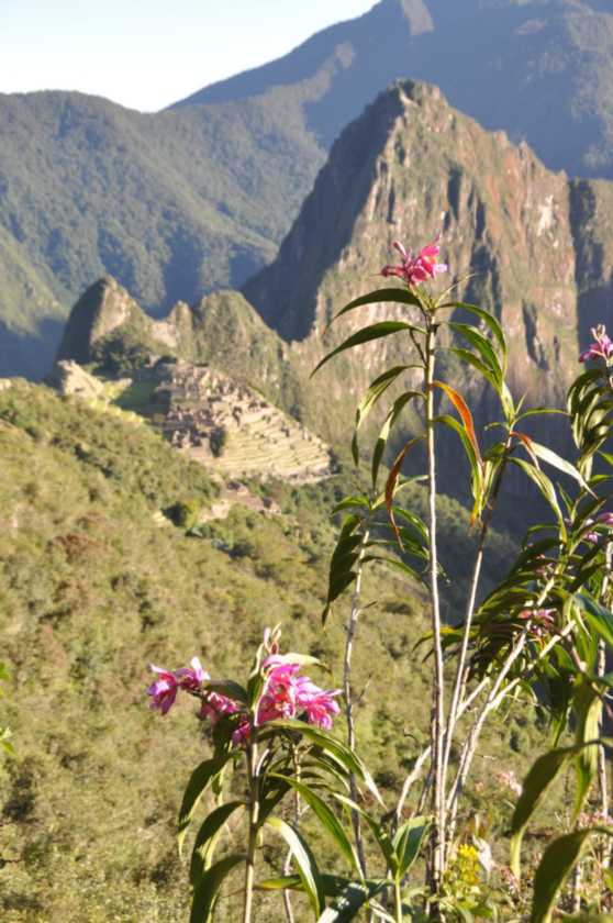 018 110520 Inca Trail 4