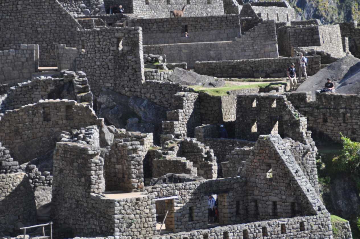031 110520 Inca Trail 4