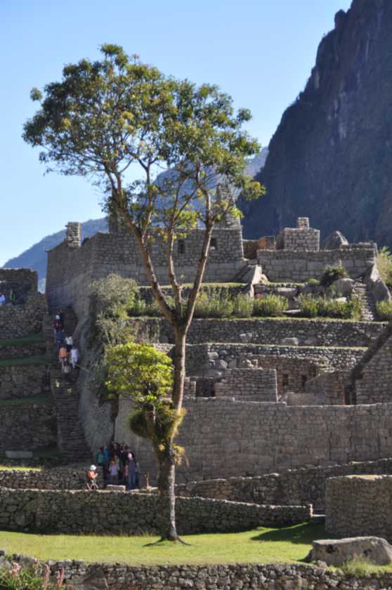 036 110520 Inca Trail 4
