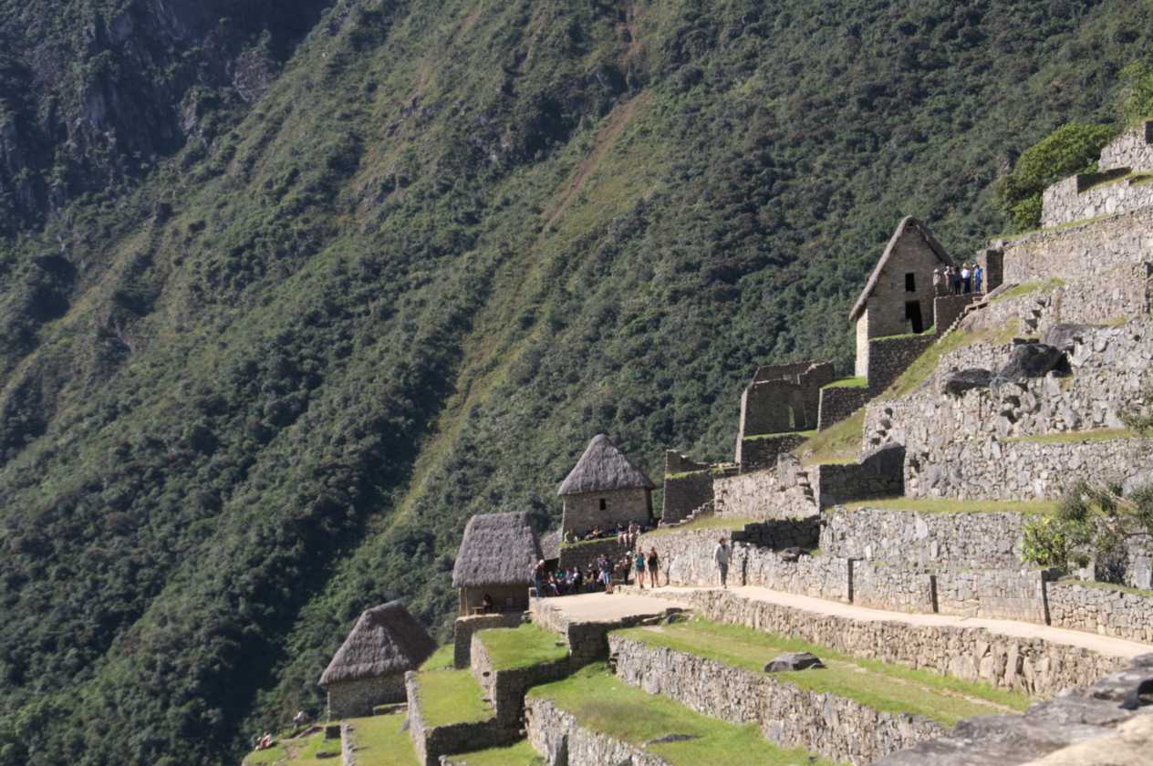 038 110520 Inca Trail 4
