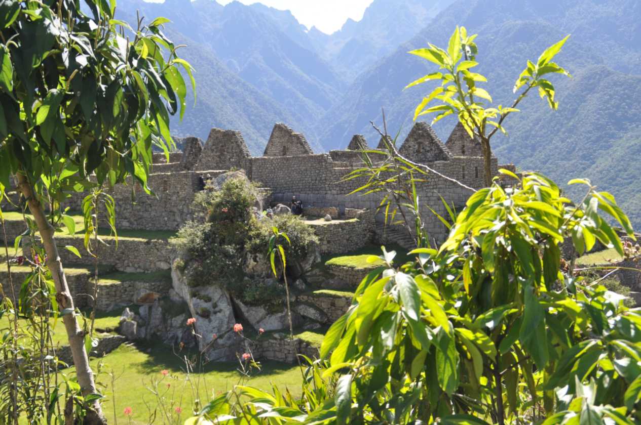 056 110520 Inca Trail 4