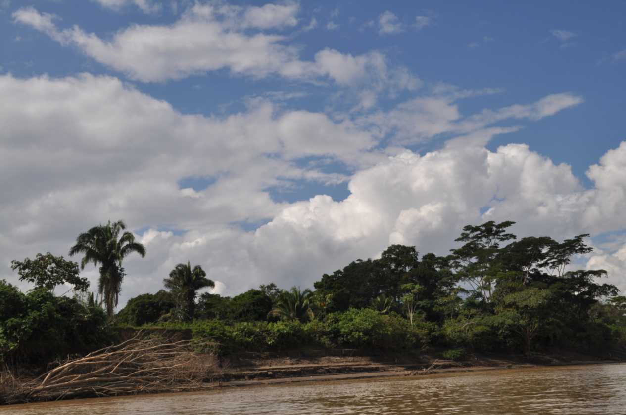 021 110521 Puerto Maldonado